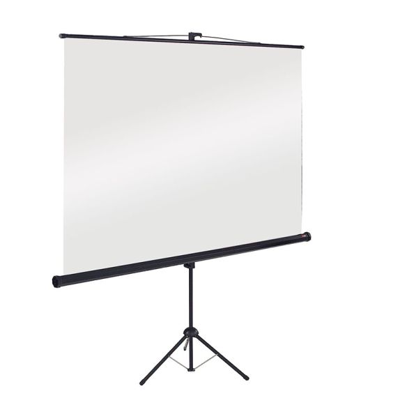 Portable Projection Screen W1250 x H1250mm with Borders | Creative Activity