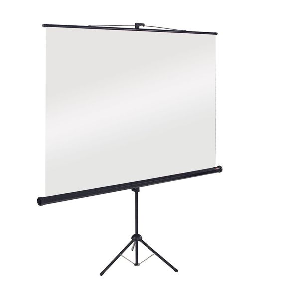 Portable Projection Screen W1500 x H1500mm Borderless | Creative Activity